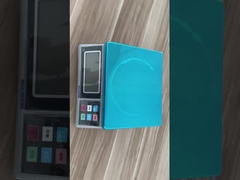 ψηφιακός ζυγός